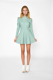 Long Sleeve Montauk Mini Dress
